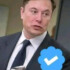 Profile picture of Elon Musk Fans Page